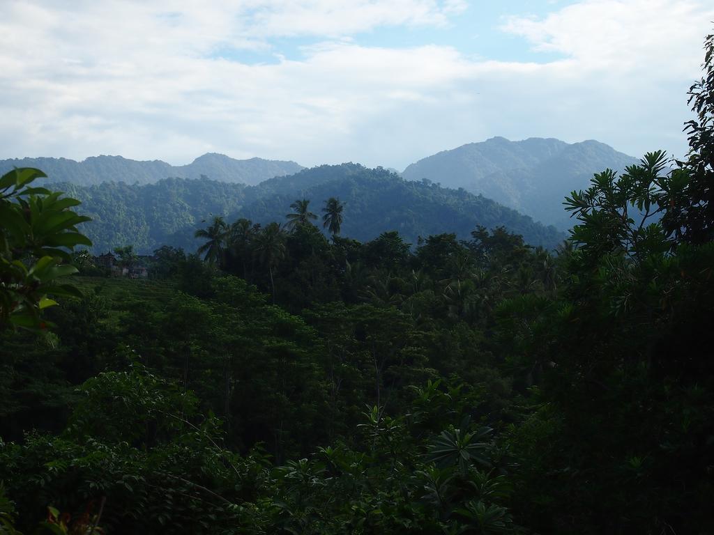 巴厘岛西部别墅 - 乌玛萨里度假村 Negara  外观 照片