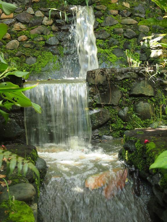 巴厘岛西部别墅 - 乌玛萨里度假村 Negara  外观 照片