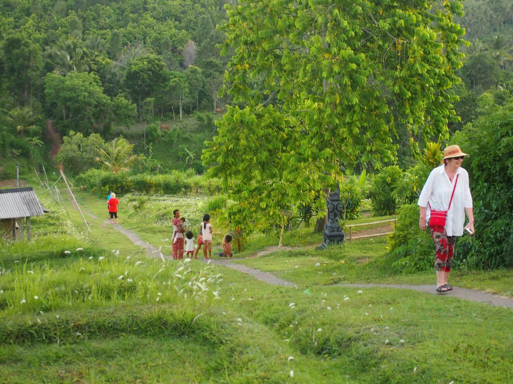 巴厘岛西部别墅 - 乌玛萨里度假村 Negara  外观 照片