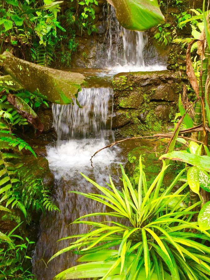 巴厘岛西部别墅 - 乌玛萨里度假村 Negara  外观 照片